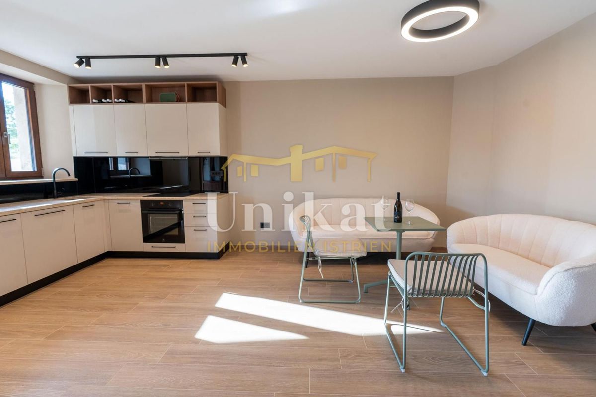 Renovirana kamnita hiša s bazenom